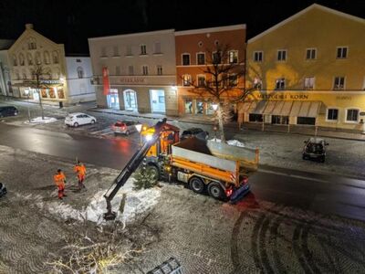 Die Kettensäge ist nun an der Reihe
